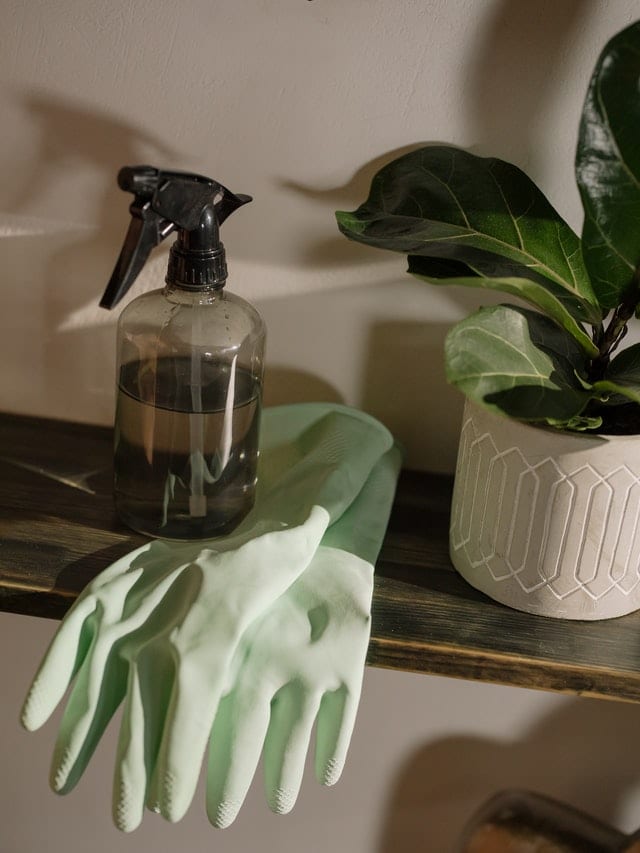 pexels-cottonbro-4107120 Black and White Spray Bottle
